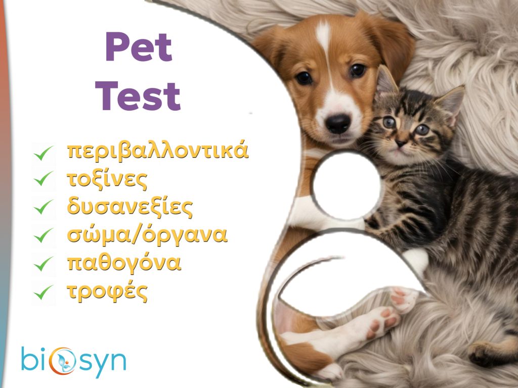 pet biosyn1
